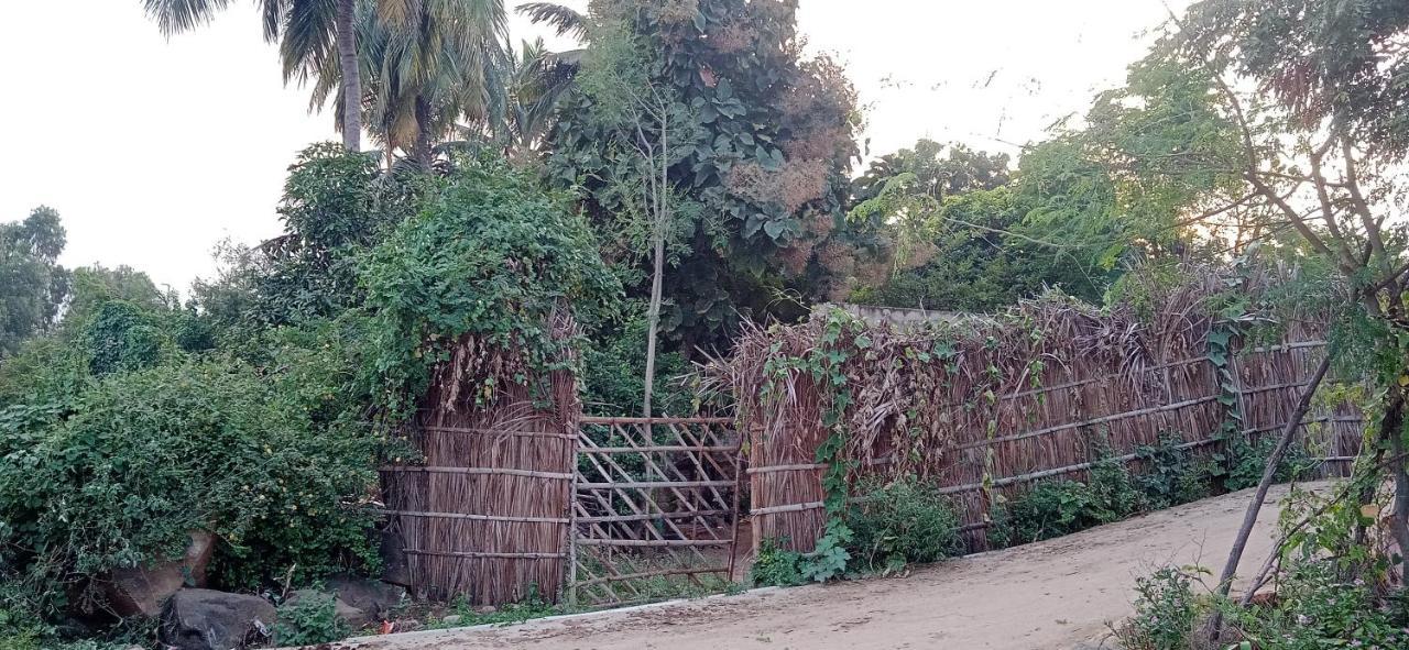 فندق هامبيفي  Drunken Monkey Camping Site المظهر الخارجي الصورة