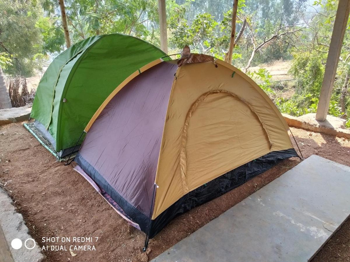 فندق هامبيفي  Drunken Monkey Camping Site المظهر الخارجي الصورة