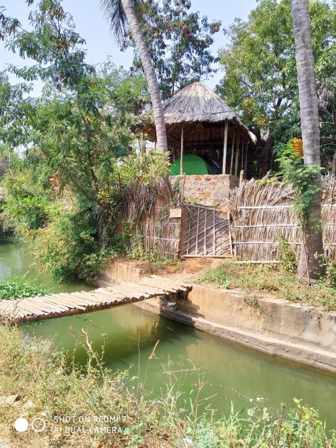 فندق هامبيفي  Drunken Monkey Camping Site المظهر الخارجي الصورة