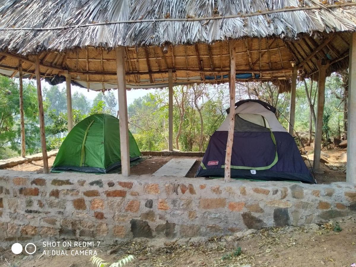 فندق هامبيفي  Drunken Monkey Camping Site المظهر الخارجي الصورة