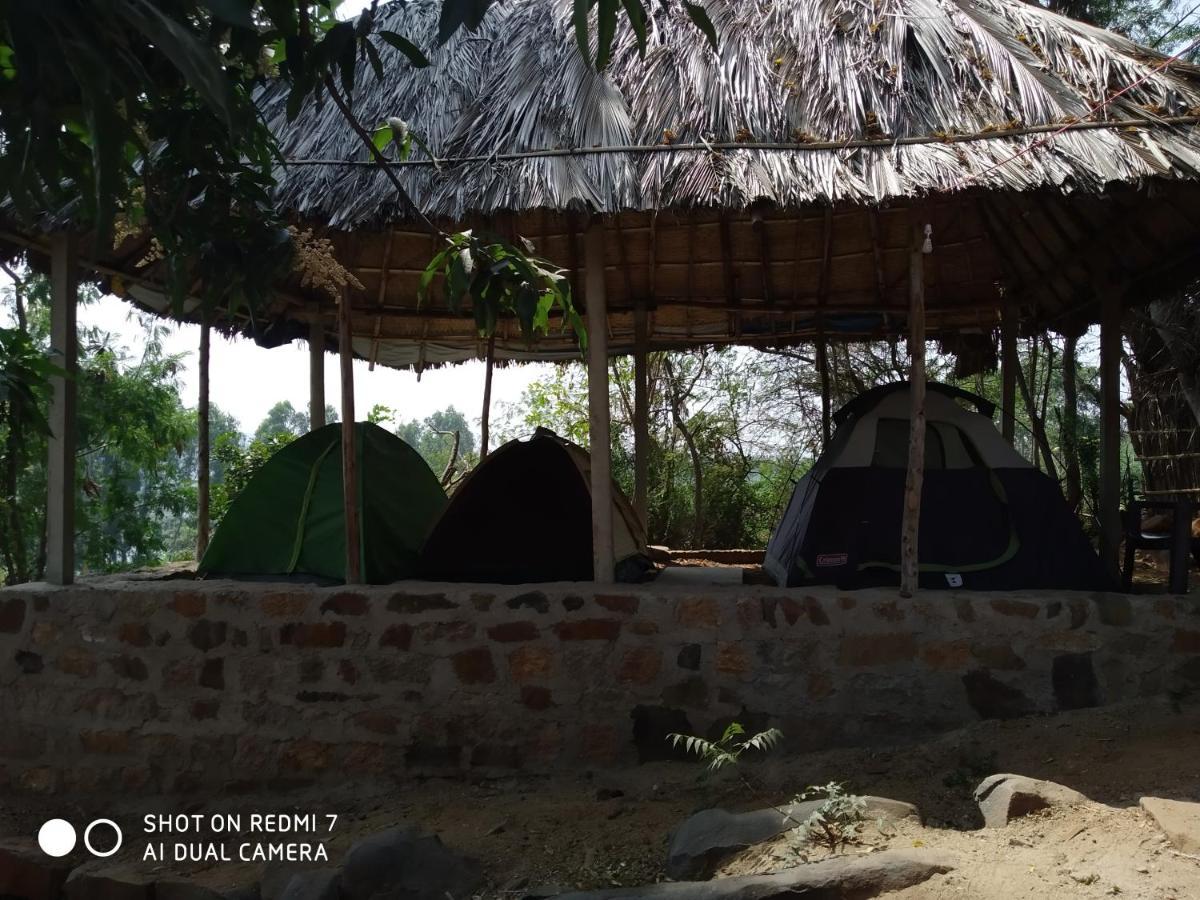 فندق هامبيفي  Drunken Monkey Camping Site المظهر الخارجي الصورة