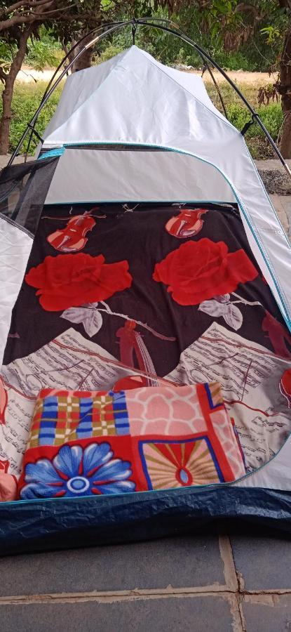 فندق هامبيفي  Drunken Monkey Camping Site المظهر الخارجي الصورة