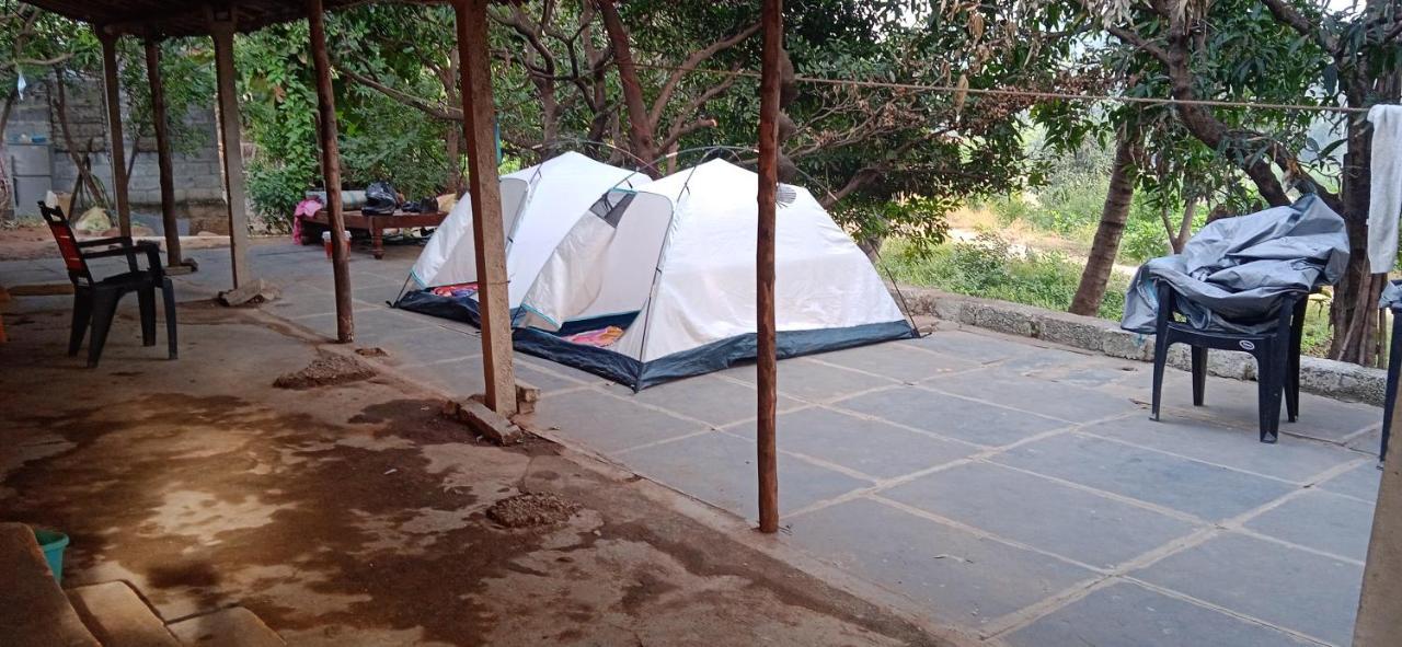 فندق هامبيفي  Drunken Monkey Camping Site المظهر الخارجي الصورة