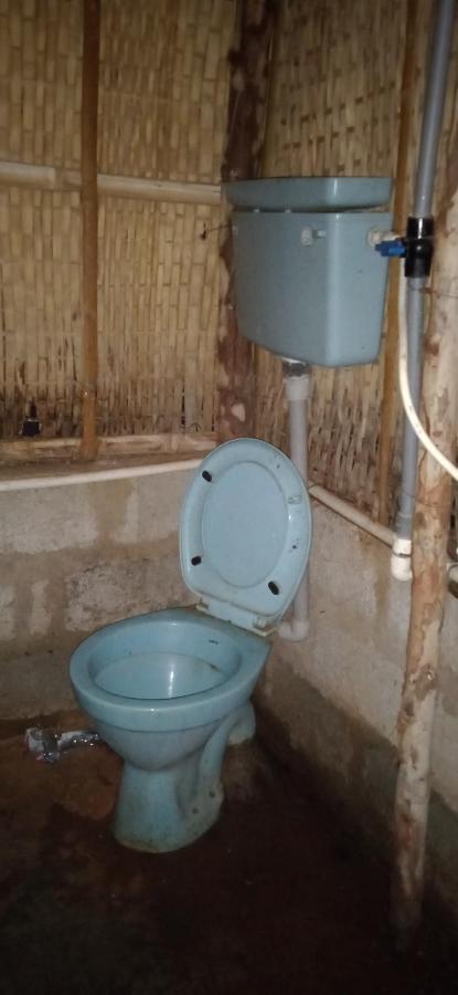 فندق هامبيفي  Drunken Monkey Camping Site المظهر الخارجي الصورة